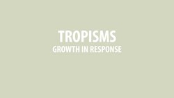 Plant Hormones: Tropisms Instructional Video