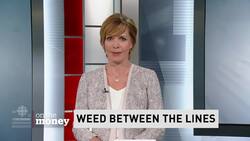 Pot potential News Clip