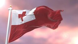 Flag of Tonga waving at wind in slow at sunset, loop Stock Footage
