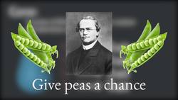 Your Genes are Selfish Instructional Video