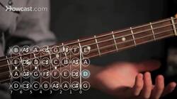 How to Play a D Note on Bass Guitar Instructional Video