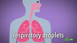 Why the New Face Mask Recommendations? | SciShow News Instructional Video