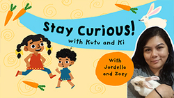 Jungle Journey - Stay Curious Jordella Instructional Video