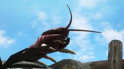 Flesh-eating centipedes hunt and eat baby birds alive Instructional Video