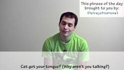 How to say "cat got your tongue? " in Spanish (Día 64) Instructional Video