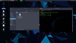 Inject Whatsapp Application With a Payload Instructional Video