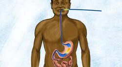 Energy In, Energy Out Instructional Video