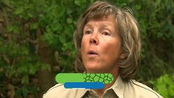 Exploring a New Habitat Can Be Stressful, Even For This Curious Baby Panda Instructional Video