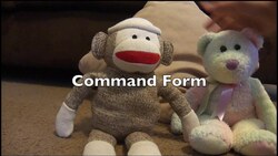 #25 Command Form (GwP1) - Deutsch lernen Instructional Video
