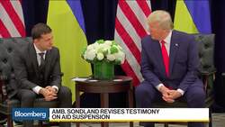 Impeachment Witnesses Portray an ‘Insidious’ Push News Clip