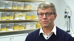 LEGO: The Transformation of a Toy Empire Instructional Video