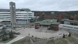 Does N.L.’s Education Accord have fake, AI sources? Some educators say yes News Clip