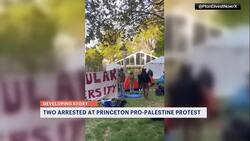 Officials: 2 arrested for trespassing during pro-Palestinian protest at Princeton University News Clip