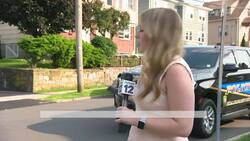 Black bear spotted in West Harrison News Clip