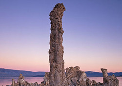 Carbonato Instructional Video