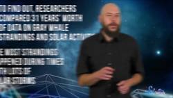 How Celestial Bodies Affect Life in the Ocean Instructional Video