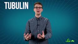 Motor Proteins Tiny Pirates in Your Cells Instructional Video