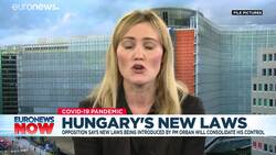 Critics say Hungary's new laws allow PM Orban to consolidate control News Clip