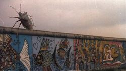 Auf der Mauer, auf der Lauer - Lied - Deutsch lernen Instructional Video