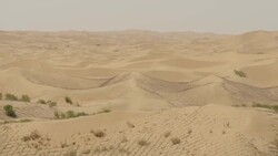 Ordos desert sands and trees and shrubs News Clip