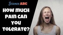 Max Pain: How Much Pain Can A Person Take? Instructional Video