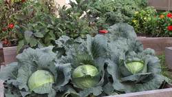 Exploring Natural Resources: What Are Natural Resources? Instructional Video