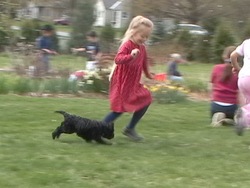 Primavera: las personas en primavera Instructional Video