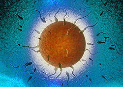 The Genius Sperm Bank: Part 1 Instructional Video