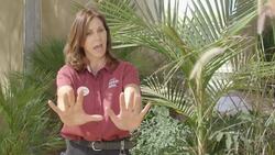 Two Unlikely Animals Pals Come Together For an Amazing Story Instructional Video