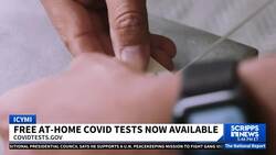 Government to send free COVID tests; here is how to request them News Clip