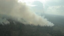 CLEAN : STOCKSHOTS: Wildfires, mining, deforestation in Brazil's Amazon, Pantanal News Clip