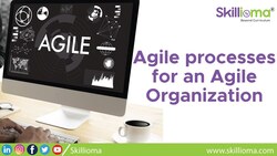 The agile processes for an agile organisation Instructional Video