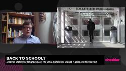 American Academy of Pediatrics Says Children Should Be In Schools News Clip