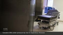 Lower COVID, flu vaccination rates contributing to ER crisis, experts say News Clip