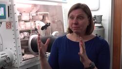 Samples from asteroid could be key to understanding how life formed on earth, says key scientist News Clip