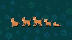 I WONDER - What Age Can Dogs Live To? Me Pregunto - Hasta Qué Edad Pueden Vivir Los Perros? Instructional Video