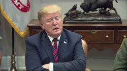 Trump says he feels 'very badly' for Paul Manafort Instructional Video