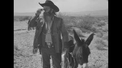 Miner in desert puts on sunglasses and ties cloth over burro's eyes prior to atomic test News Clip