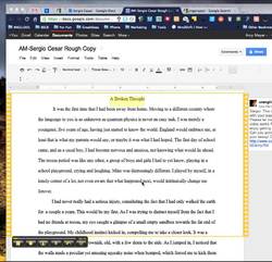 How to Video Grade Papers using Google Docs and Jing Instructional Video