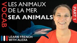 Sea Animals in French Part 1 (basic French vocabulary from Learn French With Alexa) Instructional Video