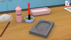 A fossil cast Instructional Video