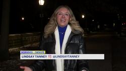 NYC Parks helps people recycle holiday trees in Brooklyn Instructional Video