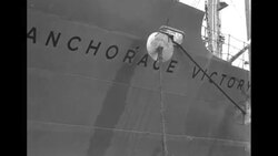 Scenes in US showing US sending food aid throughout the world News Clip