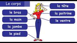 Parts of the body and face in French - French vocabulary 15 Instructional Video