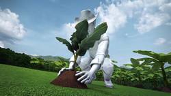 Banana plantations in Colombia threatened by deadly fungus Instructional Video