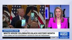 Trump recognizes Black History Month at White House event News Clip
