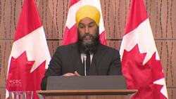 Singh explains why he called the Bloc's House Leader a 'racist' News Clip