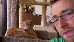 You Doubt My Cat Training Skills? Instructional Video