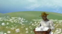 How Did We End Up in a Civil War? Instructional Video