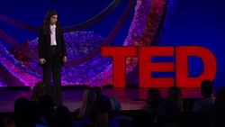 TED: How film created hope after the Beirut port explosion | Mounia Akl Instructional Video
